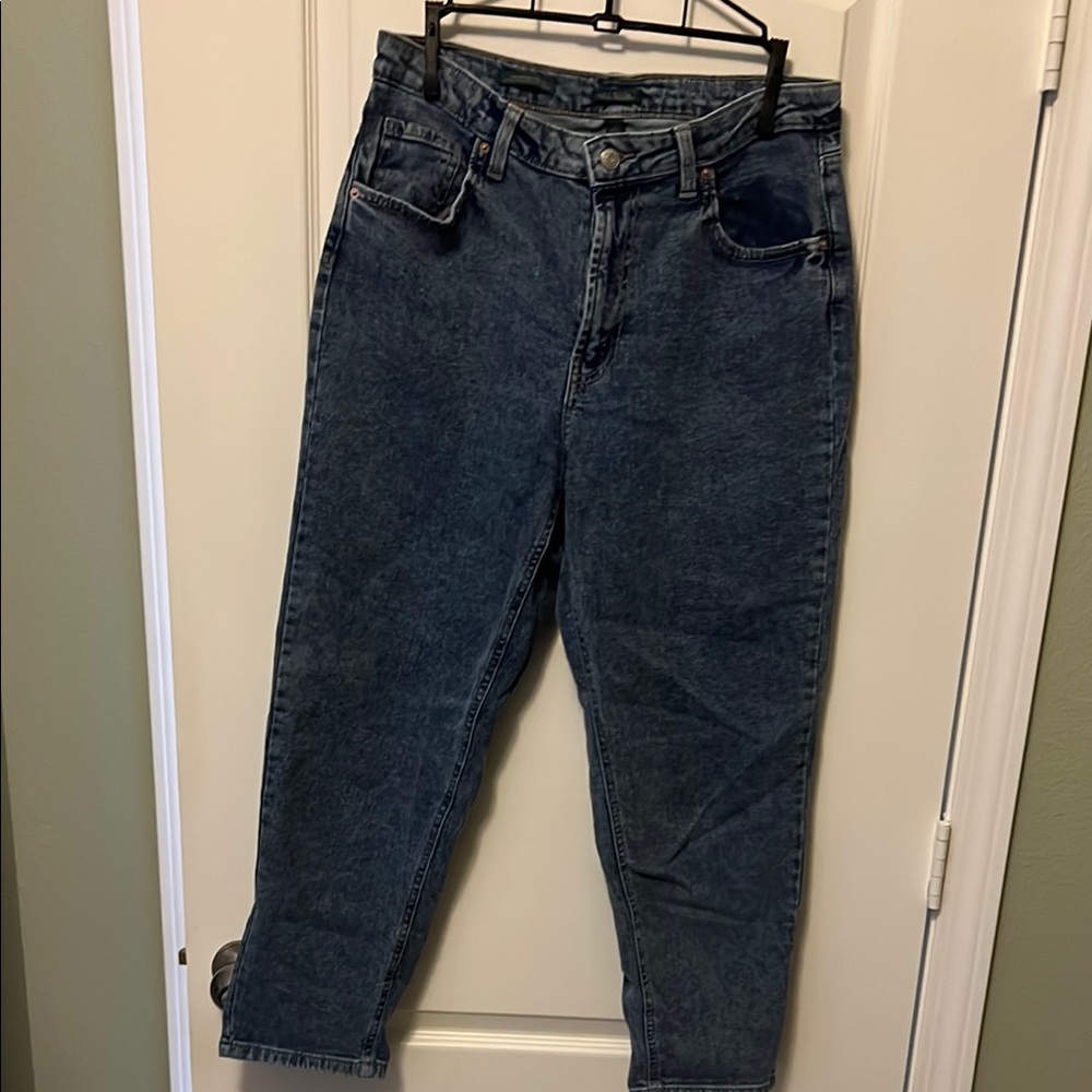 Wild Fable Blue Ankle Cropped Jeans